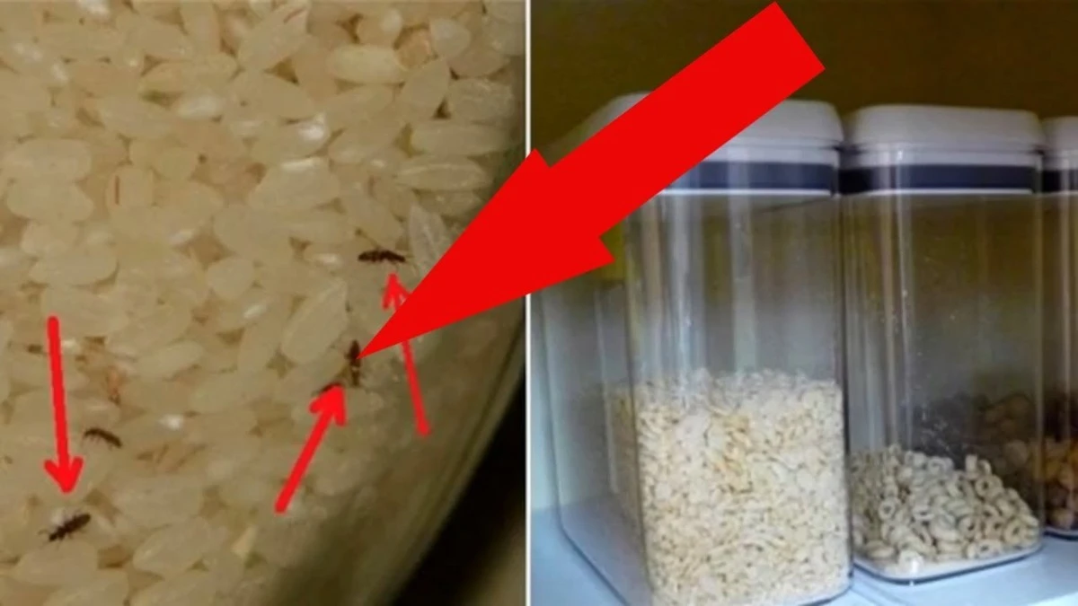 Jak genialni gospodarze przechowują sypkie produkty? Prosty trik ze spinaczem biurowym