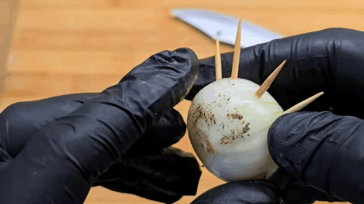 Niezawodna sztuczka z kuchni: jak zwykła wykałaczka przedłuża świeżość cytryny, ogórka i wędliny trzykrotnie