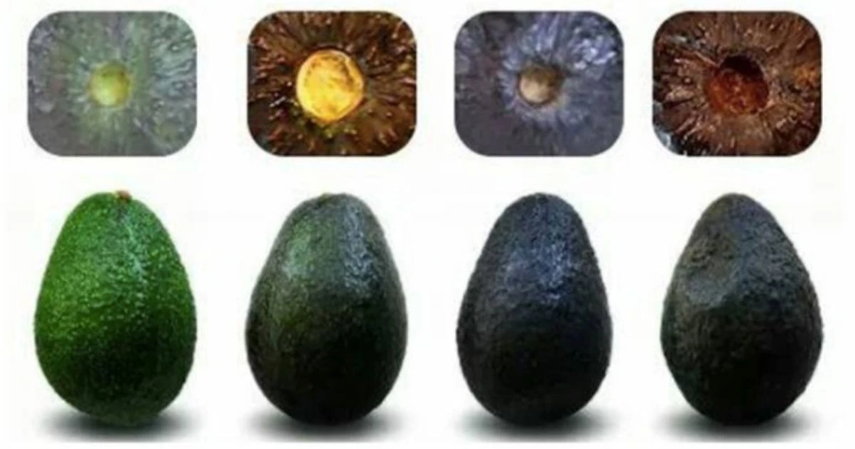 Sekret idealnej awokado: Na co zwrócić uwagę na skórce przed zakupem? - image 1