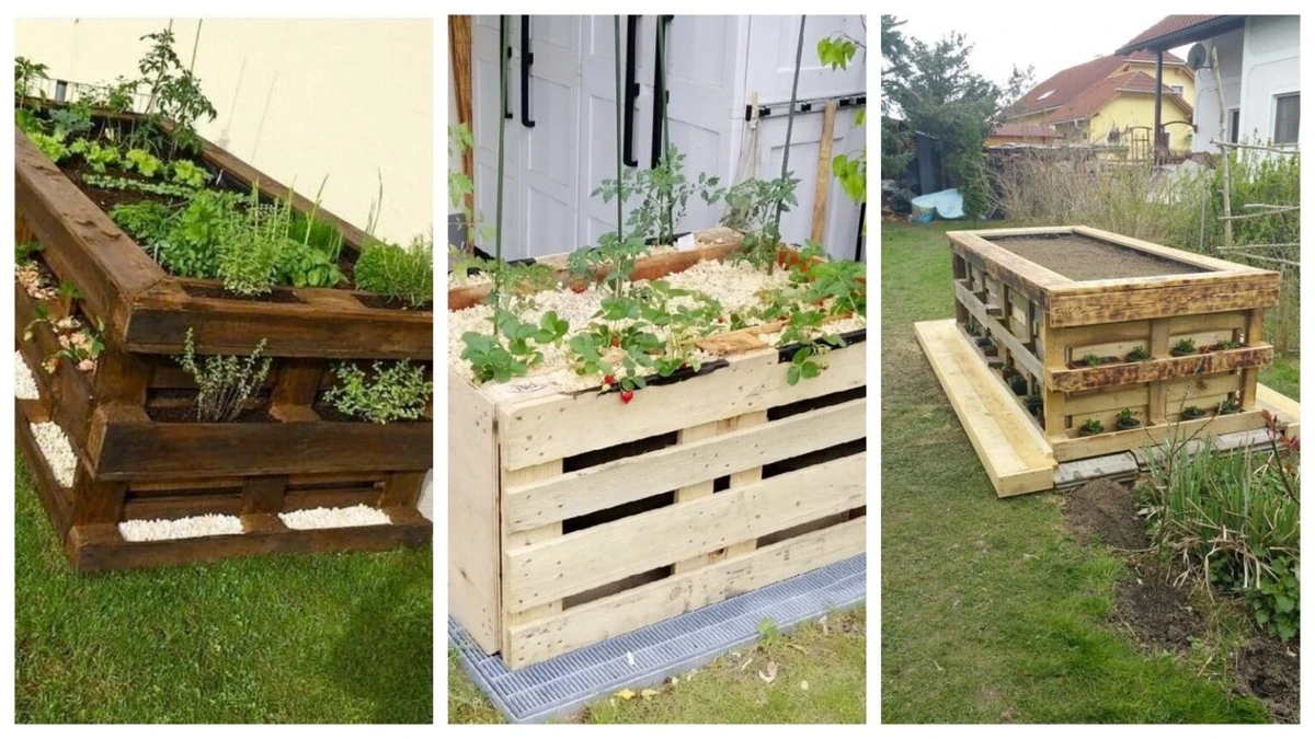 Prosty pomysł sąsiada: łóżko z palet, które odmieni Twój ogród
