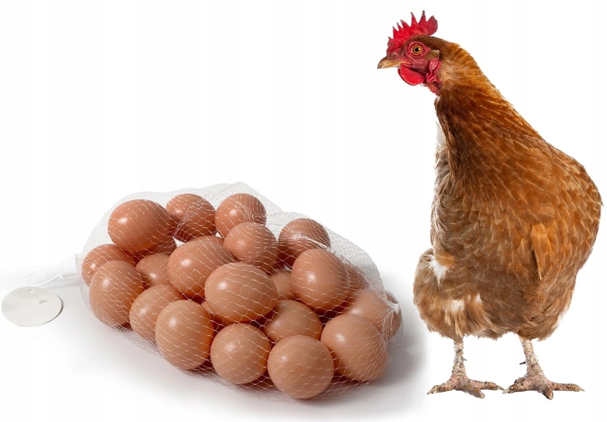 Kury przestały znosić całe jajka? Wystarczy 1 piłeczka tenisowa w gnieździe i 