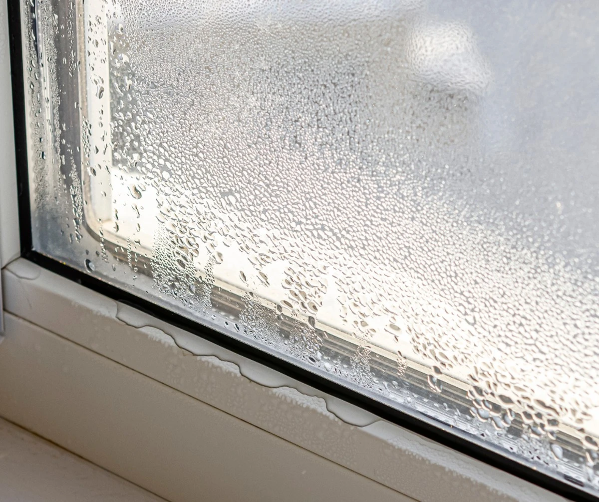 Po co gospodynie sypią żwirek dla kota na parapet? Wyjaśnienie wywołało sensację u sąsiadki - image 1