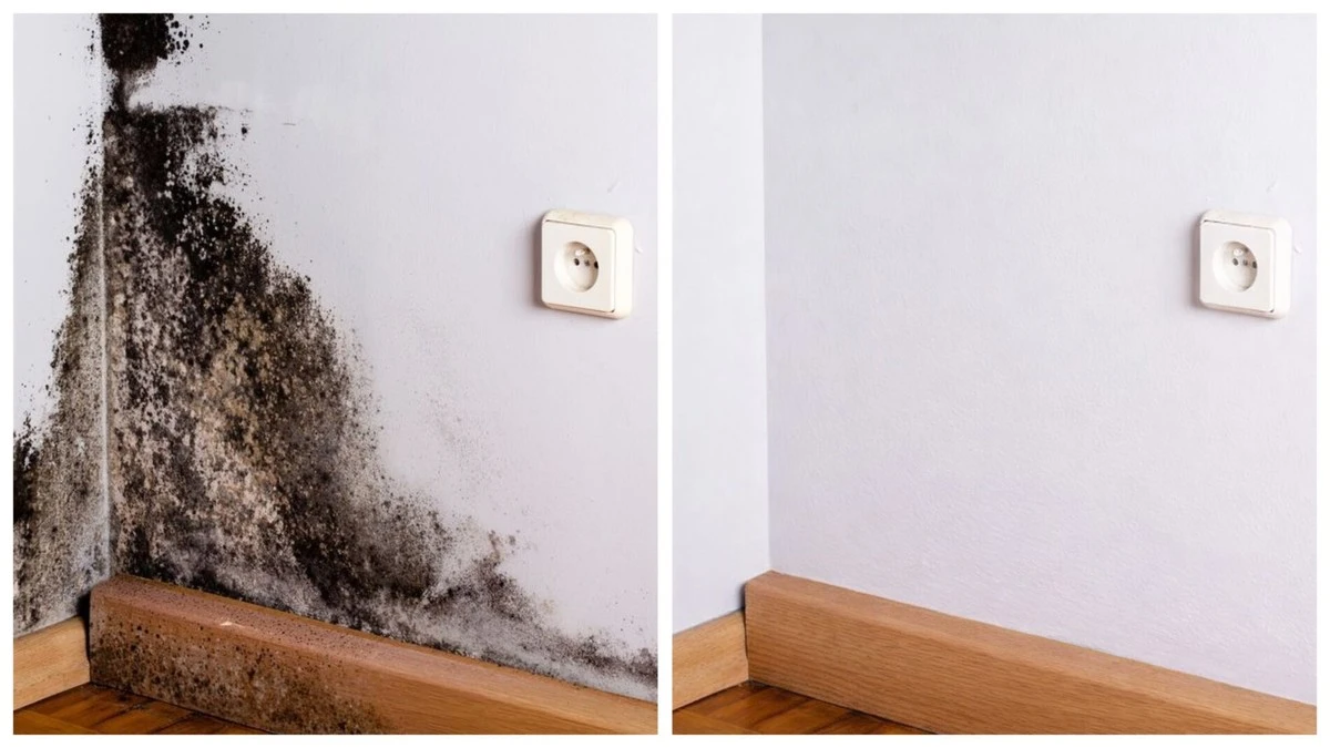 Domowy sposób na pleśń za meblami: Pozbędziesz się jej w mig bez chemii
